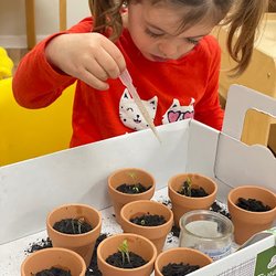 Gardengate Academy