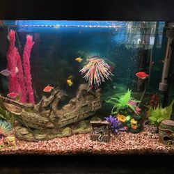 West Lake Aquarium