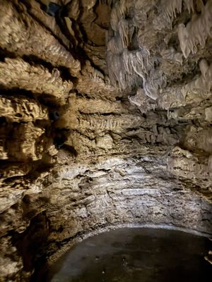 Natural Bridge Caverns by null