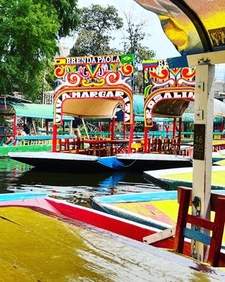 Parque Ecológico de Xochimilco by null