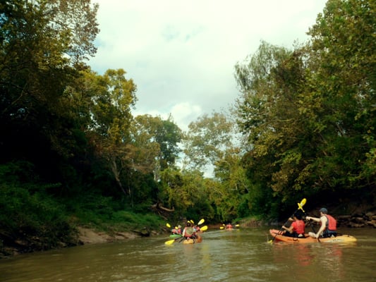 Bayou City Adventures by null