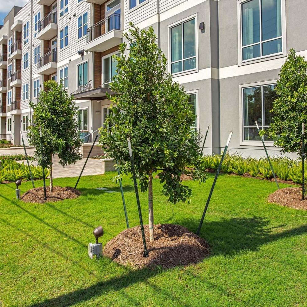 Stadia Med Main - Apartments Near Me - Houston, Texas Stadia Med Main - Apartments Near Me - Houston, Texas