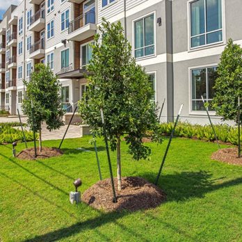 Stadia Med Main - Apartments Near Me - Houston, Texas Stadia Med Main - Apartments Near Me - Houston, Texas