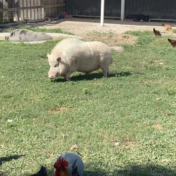 Pinto's Farm - Venues & Event Spaces Near Me - Miami, Florida Pinto's Farm - Venues & Event Spaces Near Me - Miami, Florida