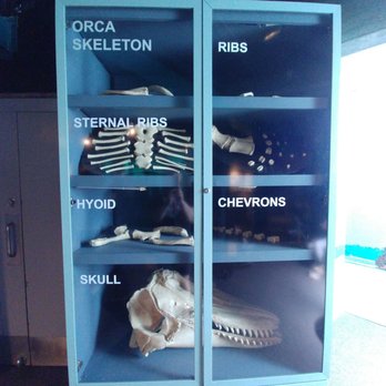 Seattle Aquarium - Aquariums Near Me - Seattle, Washington Seattle Aquarium - Aquariums Near Me - Seattle, Washington