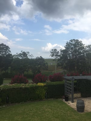 Tulloch Wines by null