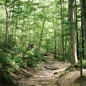 Oregon Ridge Nature Center - red trail - Parks Near Me - Cockeysville, Maryland