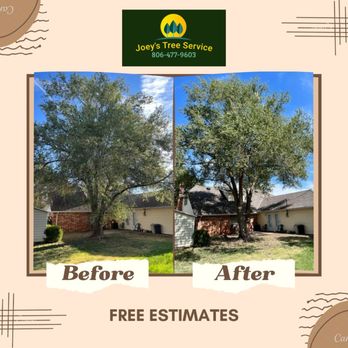Joey's Tree Service - Tree Services Near Me Joey's Tree Service - Tree Services Near Me