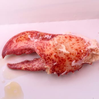 Sprague's Lobster - The claw! - Seafood Near Me - Wiscasset, Maine Sprague's Lobster - The claw! - Seafood Near Me - Wiscasset, Maine