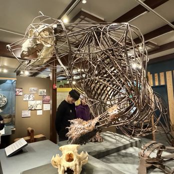 Tongass Historical Museum - Museums Near Me - Ketchikan, Alaska Tongass Historical Museum - Museums Near Me - Ketchikan, Alaska