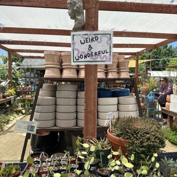 The Secret Garden - Nurseries & Gardening Near Me - Elk Grove, California The Secret Garden - Nurseries & Gardening Near Me - Elk Grove, California