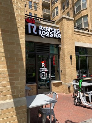 Roaming Rooster by null