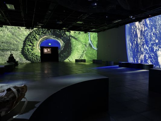 OASIS immersion by null