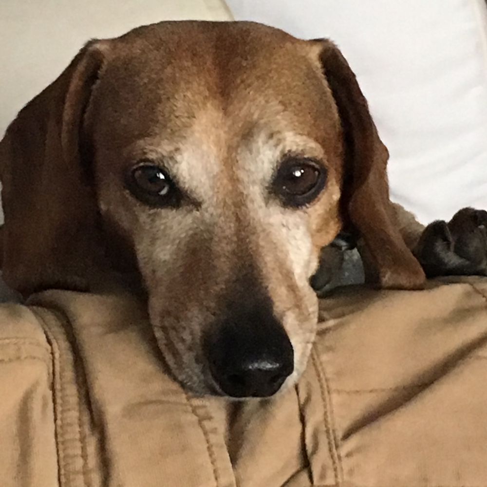 Karla Rogers Attorney At Law - divorce attorney in Tulsa, OK