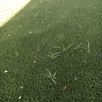 SmartGrass - Artificial Turf Near Me - Manhattan Beach, California SmartGrass - Artificial Turf Near Me - Manhattan Beach, California