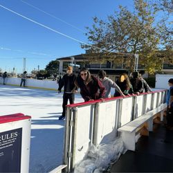 Ice Skating By The Bay