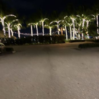 Sailfish Marina - Seafood Near Me - Palm Beach Shores, Florida
