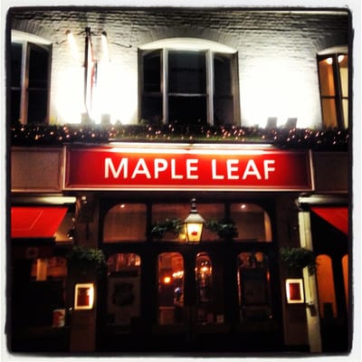 Maple Leaf by null