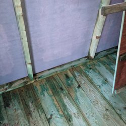 MCD Home & Garden - Rain soaked studs and flooring