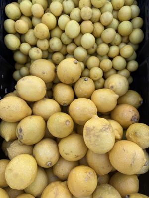 Las Vegas Farmers Market at Uncommons by null