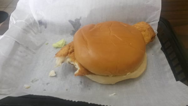 Shirley's Diner by null