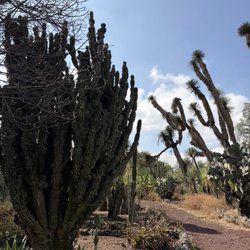 Jardín Botánico del Instituto de Biología - UNAM