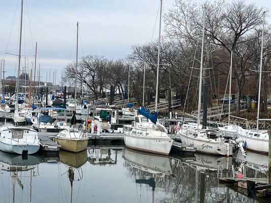 Washington Sailing Marina by null