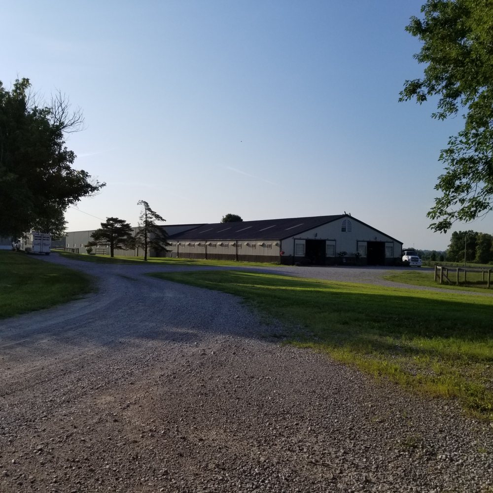 Wynstrum Stables - equestrian in Walton, KY