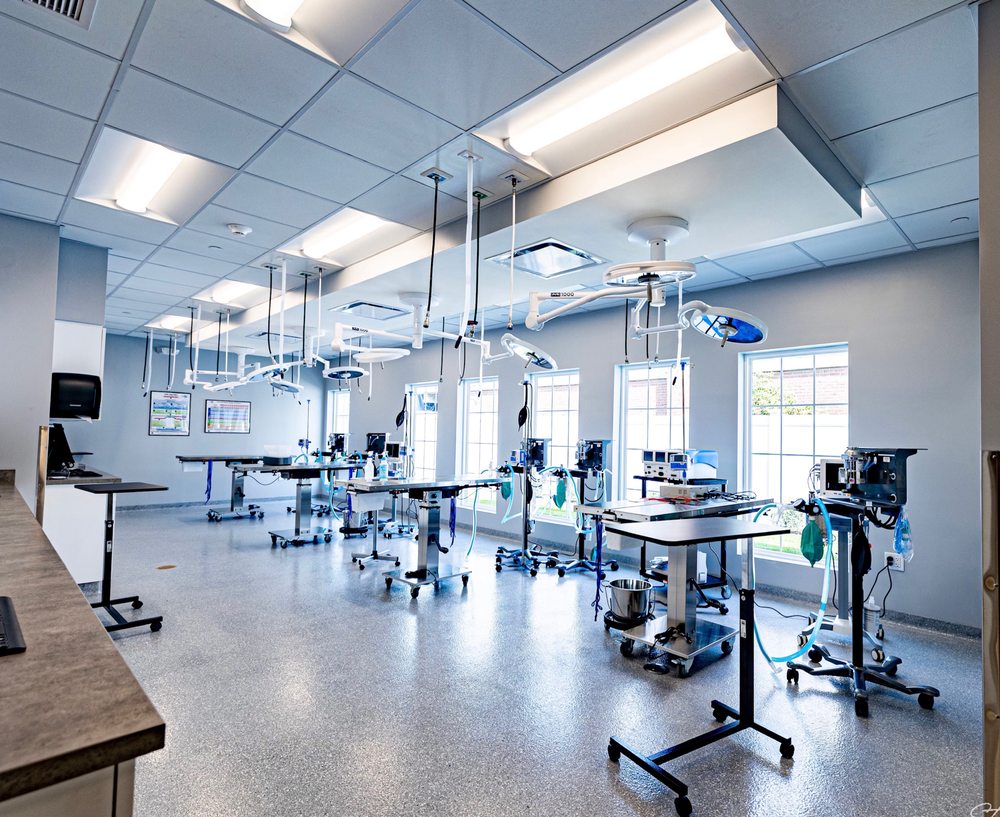 VETERINARY SURGICAL CENTER OF LONG ISLAND Updated September 2024 14