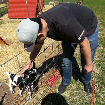 Stepladder Ranch & Creamery - Ranches Near Me - Cambria, California