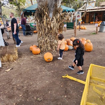 Irvine Park Railroad - Inside with carts - Amusement Parks Near Me - Orange, California