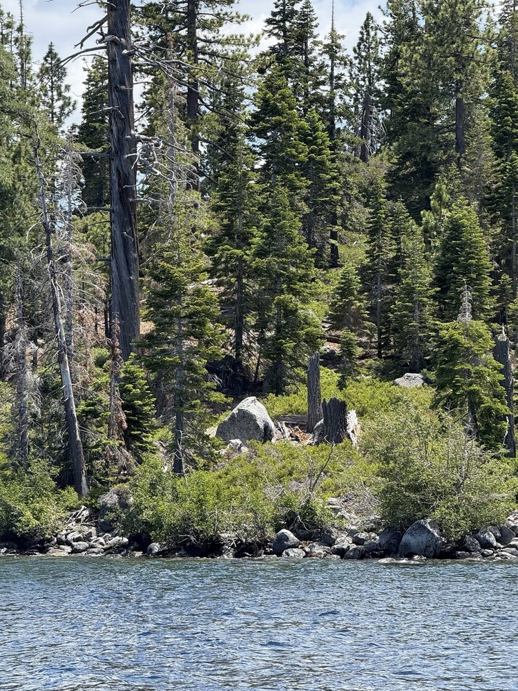 Lake Tahoe Pontoons Logo