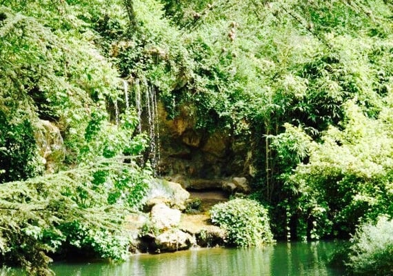 Parc Bagatelle - la Roseraie by null