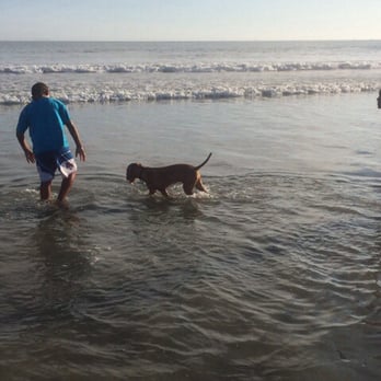 Coronado Dog Beach - With the grand kids and my puppy at Coronado Dog Beach. - Beaches Near Me - Coronado, California