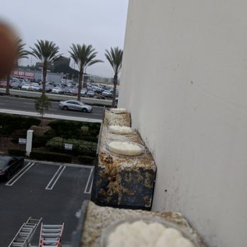 1st Stryke Pest and Termite Control - Solving bird issues! We clean, sanitize and exclude birds from being a problem and present health issue to homes and businesses - Pest Control Near Me 1st Stryke Pest and Termite Control - Solving bird issues! We clean, sanitize and exclude birds from being a problem and present health issue to homes and businesses - Pest Control Near Me