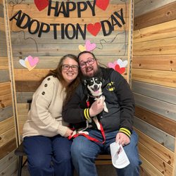 Henderson Animal Care and Control Facility - The photo they took and posted on Facebook