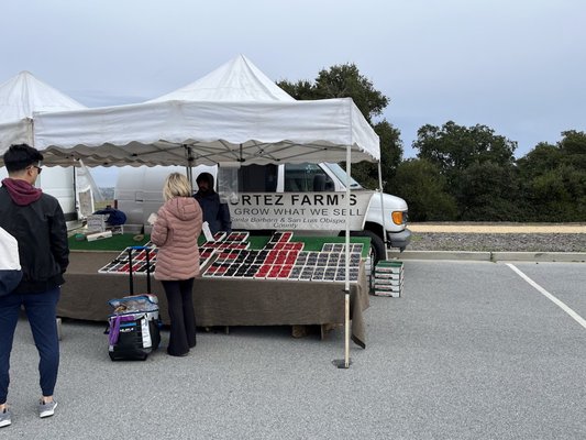 San Mateo Farmers' Market by null