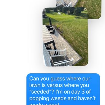 Stout Creek Landscapes - Response from them after sending pictures of weeds (that I had to spray and then remove) - Landscaping Near Me - Belmont, Michigan