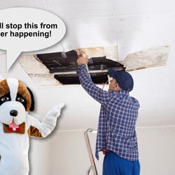 Rescue Roofer