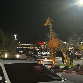 Chuy's - Sick giraffe - Tex-Mex Near Me - Springfield, Virginia