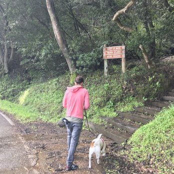 Tiburon Uplands Natural Preserve - Trailhead from road. - Parks Near Me - Tiburon, California Tiburon Uplands Natural Preserve - Trailhead from road. - Parks Near Me - Tiburon, California