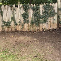 After photo, excellent work! After photo, excellent work!