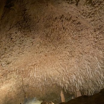 Inner Space Cavern - Tours Near Me - Georgetown, Texas