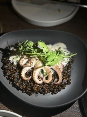 To Be Determined by null