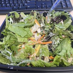 Worst Garden Salad EVER! Worst Garden Salad EVER!