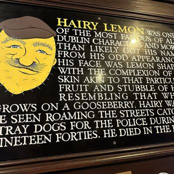 The Hairy Lemon - Irish Pub Near Me - Dublin, D The Hairy Lemon - Irish Pub Near Me - Dublin, D