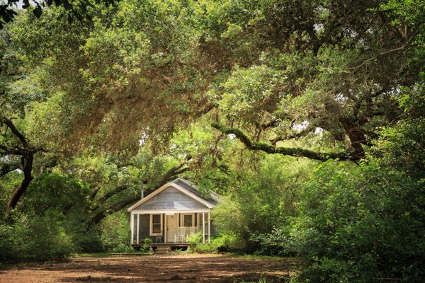 BlissWood Bed and Breakfast Ranch by null