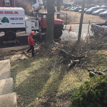 G&V Tree Service - Tree Services Near Me - Springfield, Virginia G&V Tree Service - Tree Services Near Me - Springfield, Virginia