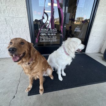 CHINO HILLS ANIMAL HOSPITAL & PET RESORT - Updated July 2024 - 655