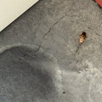 Creekside Coin Wash - A roach - Laundromat Near Me - Citrus Heights, California